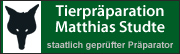 Tierpräparation Matthias Studte - staatlich geprüfter Präparator